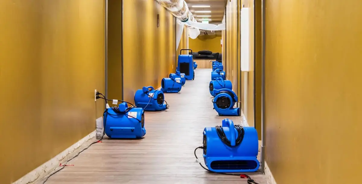 Row of blue air movers drying a flooded commercial building hallway
