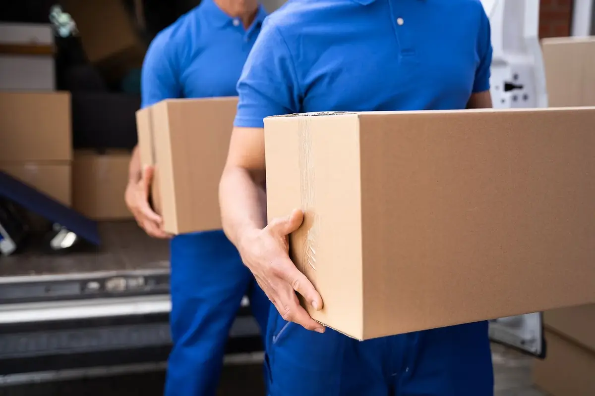 Two movers carrying packed boxes from a truck during a contents pack out