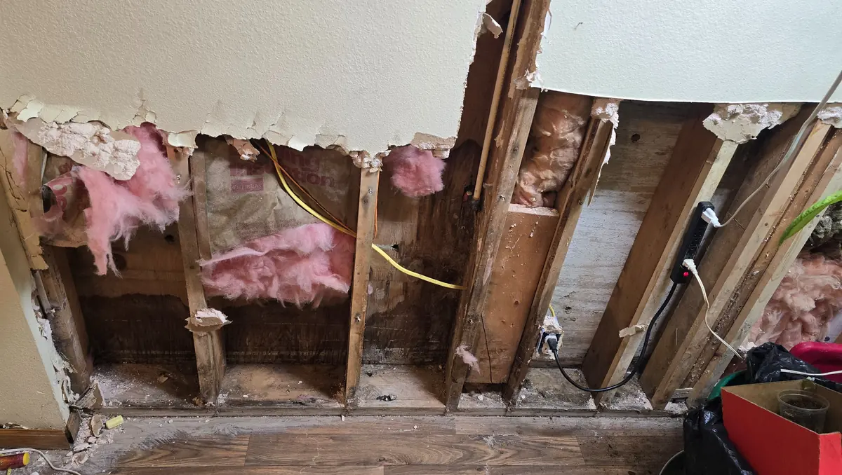 Close-up of torn-out wet drywall revealing soaked insulation, studs, and wiring
