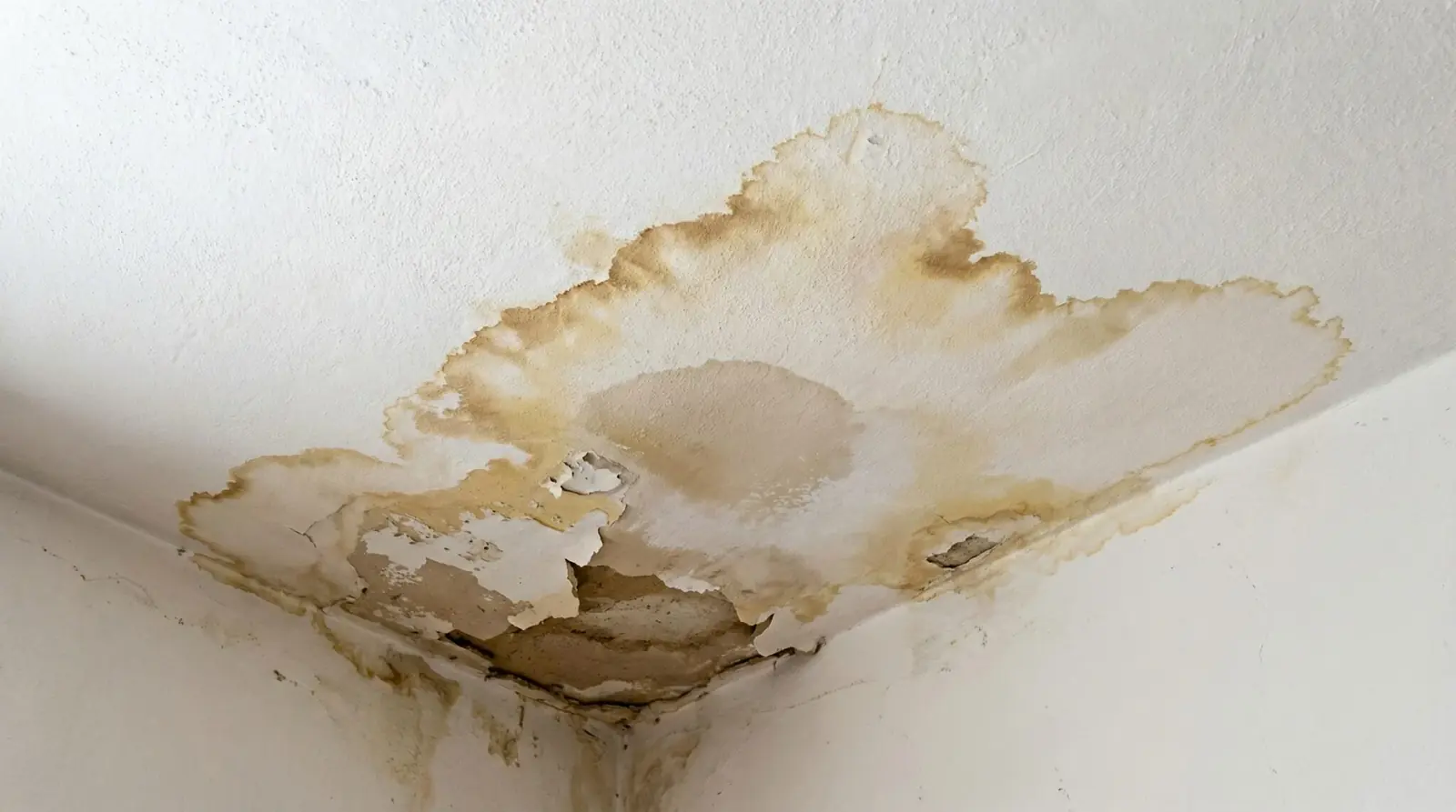 Large brown water stain spreading across a ceiling from a roof leak