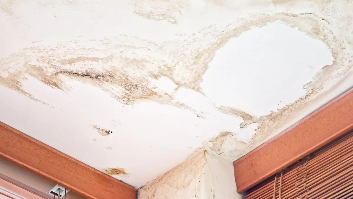 Water-stained sagging ceiling from an active roof leak